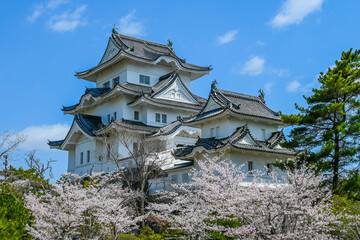 桜と伊賀上野城の風景 三重県伊賀市 日本