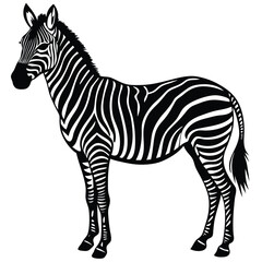 zebra standing silhouette