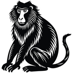 Fototapeta premium baboon sitting silhouette