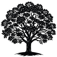 hawthorn silhouette