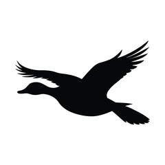 Fototapeta premium Flying Duck Vector silhouette illustration white background