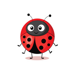 Obraz premium Cute funny ladybug, insect vector illustration isolated on white background
