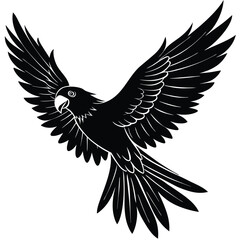Obraz premium parrot in flight silhouette