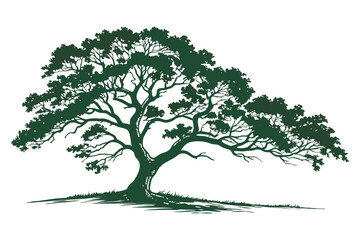 Green tree silhouette on a white background