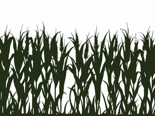 grass vector silhouette on white background