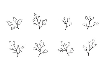 Set of 6 pec in two row  Celery Leaf line art on white background