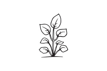 Century Plant line art