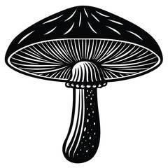 a mushroom with a thick stem