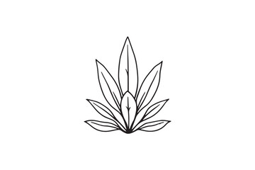 Century Plant line art