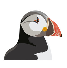 Tufted Puffin Bird Animal Portrait Illustration Isolated on White Background