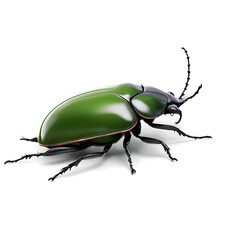 Fototapeta premium Macro Insect Photography: Vibrant Green Beetle in Natural Habitat for Enthusiastic Nature Lovers