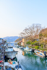 春の吉原入江　京都府舞鶴市　Yoshihara Cove in Spring. Kyoto Pref, Maizuru City.