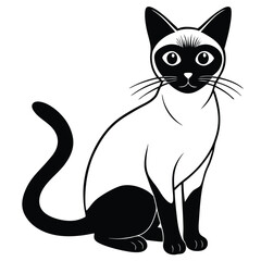 siamese cat vector