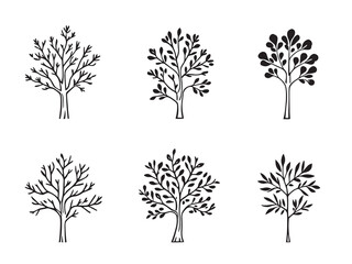 Cottonwood Tree Drawing Series