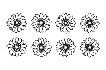 Obraz premium Set of 6 pec in two row Chrysanthemum black line art on white background