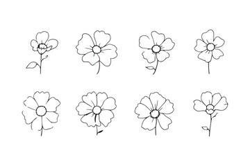 Set of 6 pec in two row  Cineraria line art on white background