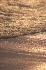 ocean sunset in the golden hour