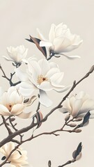 white flower on black background