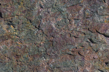 Close-up texture of a weathered, multi-colored metamorphic rock surface.