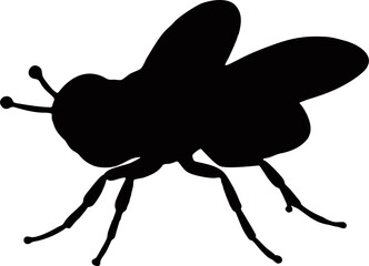silhouette of a fly vector