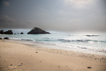 奄美大島の自然、珊瑚礁の島、