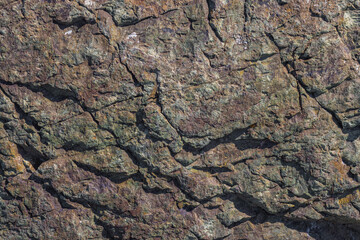 Close-up texture of a rough, multi-toned metamorphic rock surface in Kyrgyzstan.