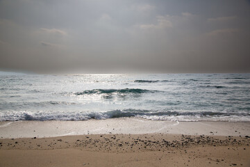 奄美大島の自然、珊瑚礁の島、