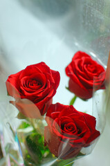 A bouquet of three red roses 1