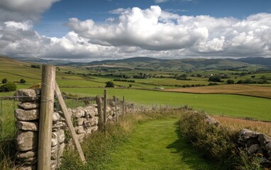 Fototapeta premium Sunny Pastoral Valley Landscape with Stone Wall