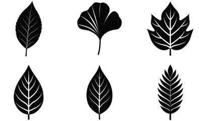 Fototapeta premium leaves Silhouettes vector set with various trees and foliage, ideal for nature and seasonal design