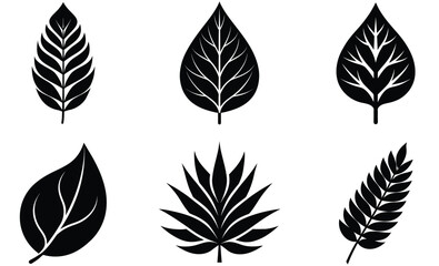 leaves Silhouettes vector set with various trees and foliage including Tamarind, Cashew, Baobab, Dragon Tree, Acacia and Banyan tree leaf, ideal for nature and seasonal design