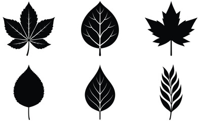 leaves Silhouettes vector set with various trees and foliage including Poplar, Chestnut, Willow, Linden, Mango and Jackfruit leaf, ideal for nature and seasonal design