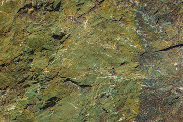 Close-up texture of a rough, predominantly green metamorphic rock surface in Sokuluk, Kyrgyzstan.