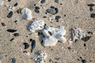 奄美大島の自然、珊瑚礁の島、珊瑚砂、ビーチ。