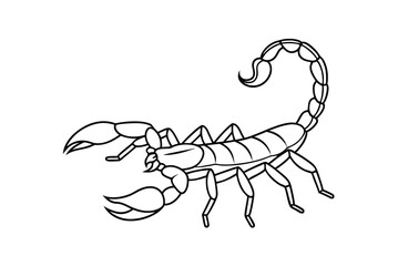 Simple Black And White Scorpion Line Art Illustration On Isolated White Background