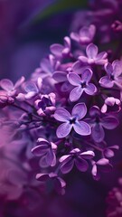 Obraz premium flowers in water