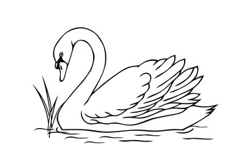 Elegant Swan Swimming Gracefully On Water Line Art Vector Illustration