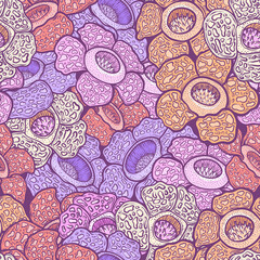 Rafflesia Arnoldii Colorful Tropical Flower Illustration Pattern Background