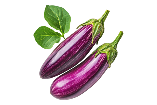 Fresh eggplants with leaves, isolated on white transparent background, concept of healthy eating.