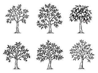 Papaya Tree Ink Outline