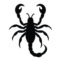 scorpion silhouette vector