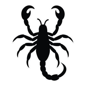 recommend clip art: scorpion silhouette vector
