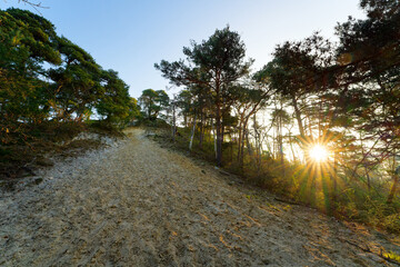 Fototapeta premium Tertre blanc hill in the French Gâtinais Regional Nature Park 