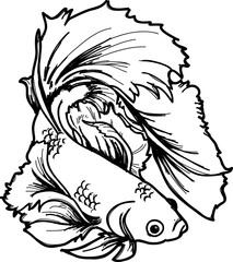 vector drawing of a fish