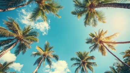 A vibrant image looking up at palm trees against a bright blue sky with scattered clouds.