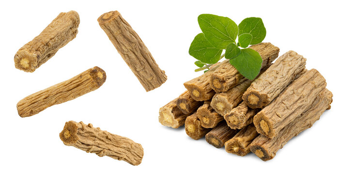 Traditional chinese herbal medicine codonopsis pilosula roots ( Dang Shen ) with leaves on white background.