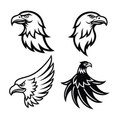 Fototapeta premium eagle