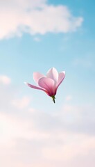 Obraz premium Solitary pink magnolia blossom adrift in a dreamy blue sky, abstract landscape, floral, fragile, landscape