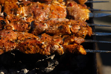 Close-up of Shish Kebab Grilling Over Hot Coals