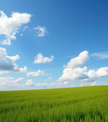 Endless green meadow under a serene sky, fluffy clouds drift lazily, stock, light, open